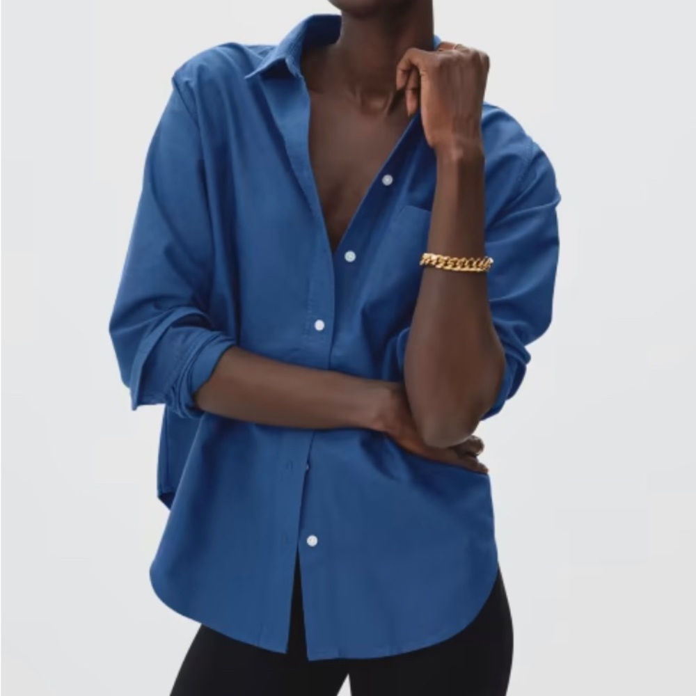 Everlane Oxford in Blue